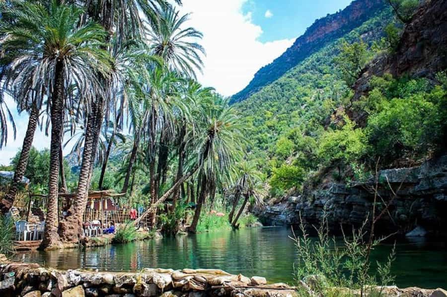 Agadir :Half day Paradise Valley & Atlas Mountains Tour - Price and What’s Included for This $17 Half-Day