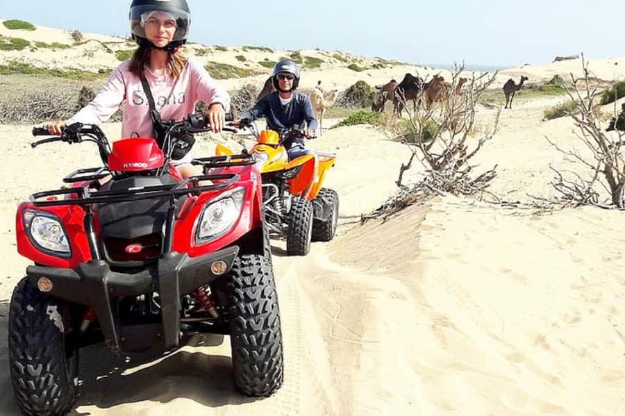 Agadir: Half-Day Quad Biking and Sunset Horse Riding - Who Should Book This Tour (and Who Should Skip It)