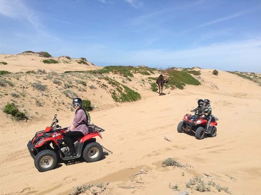 Agadir: Half-Day Quad Biking and Sunset Horse Riding - Small Details to Confirm Before You Ride