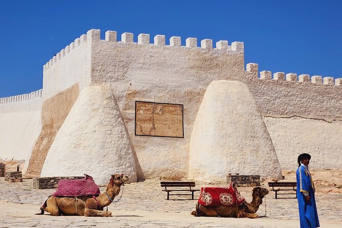 Agadir Half-Day Tour - Agadir in Four Hours: Why This Tour Feels Like a Shortcut