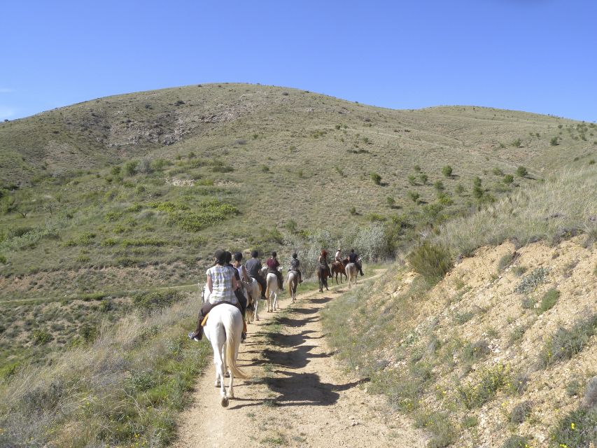 Agadir Horse Riding visite the flamingo river with tea drink - Flamingo river stop: bird spotting without the museum vibe