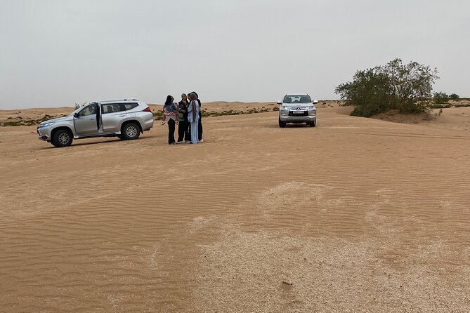 Agadir Jeep safari 4x4 Desert Adventures with Couscous & Tajin - Resmouka Dunes: Camels, Possible Scorpions, and Photo Chances