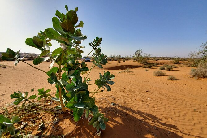 Agadir Jeep Safari Desert Day Trip including Lunch & camel ride - Entering the 4x4 day: Agadir to the Souss-Massa region