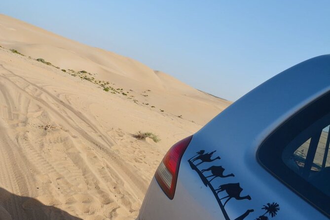 Agadir Jeep Safari Desert Day Trip including Lunch & camel ride - The short camel ride: fun try-out, not a long trek