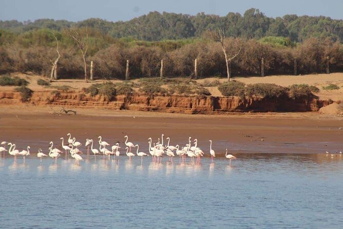 Agadir Jeep Safari Sahara Desert 4x4 Day Tour with Lunch - What you’re really buying: a full-day route with variety