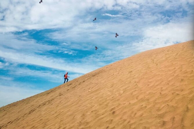 Agadir Jeep Safari Sahara Desert 4x4 Day Tour with Lunch - Rasmouka Berber village: the long cultural anchor of the day