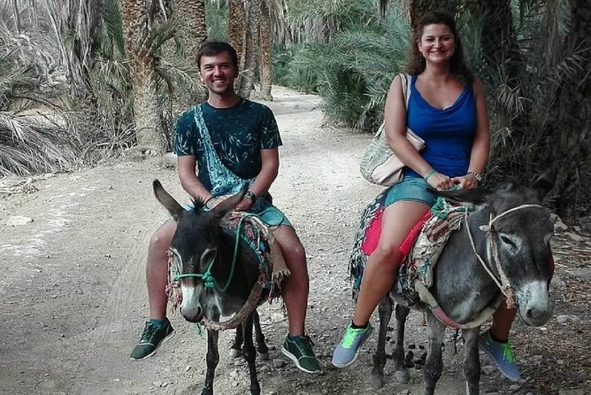 Agadir Morocco: Day Trip To Taroudant & Tiout Oasis with Lunch - Key points worth knowing