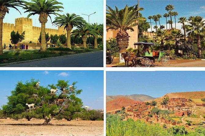 Agadir Morocco: Day Trip To Taroudant & Tiout Oasis with Lunch - Taroudant and Tiout make a great Agadir escape