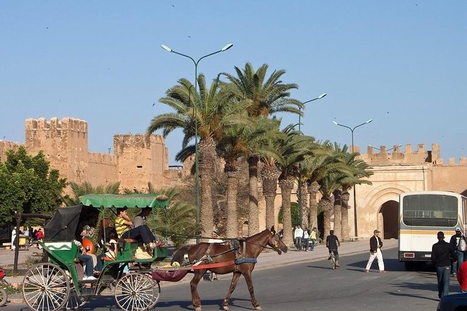 Agadir Morocco: Day Trip To Taroudant & Tiout Oasis with Lunch - Value check: what $41.87 covers and what you may spend extra