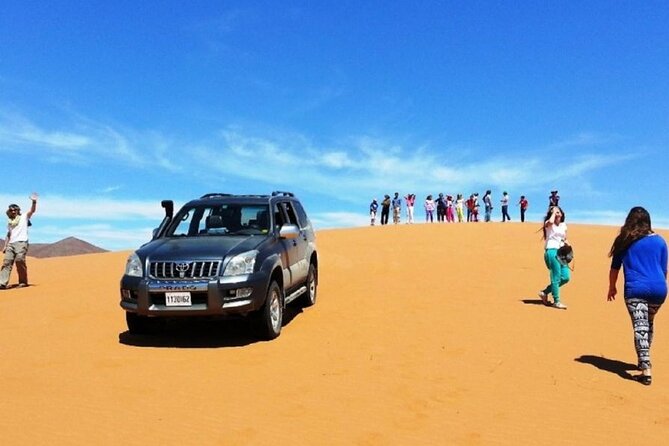 Agadir National Park & 4×4 Jeep Desert Safari Tour with Lunch - Entering the Park: The Wildlife Targets That Actually Matter