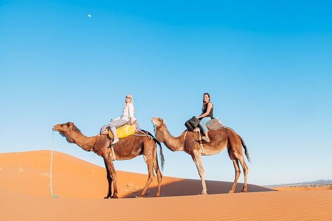Agadir or taghazout : 4×4 Jeep Sahara Desert Trip with Lunch - Why this 4×4 day trip feels like Morocco fast