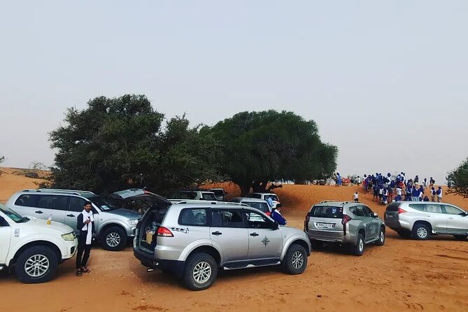 Agadir or taghazout : 4×4 Jeep Sahara Desert Trip with Lunch - Tiznit in an hour: silver medina browsing and a real break