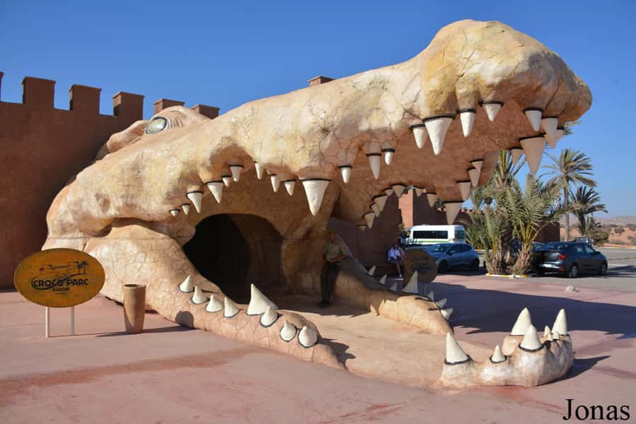 Agadir or Taghazout: Goat on Trees and Crocoparc with Pickup - Getting Picked Up in Taghazout (and the Ride South)