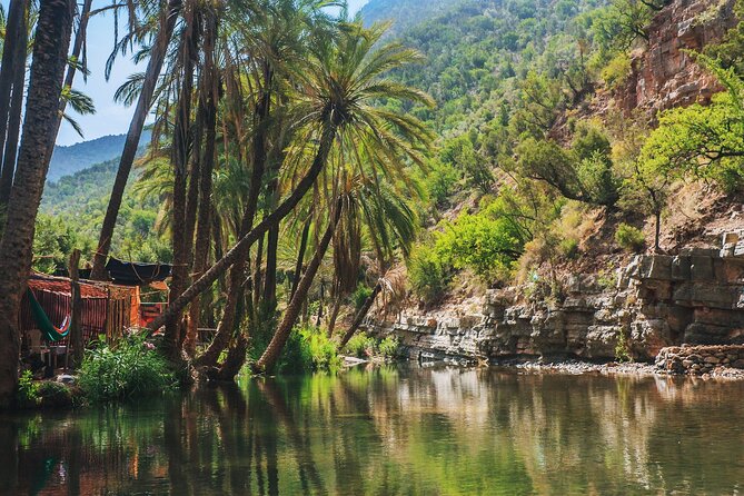 Agadir or Taghazout: Paradise Valley Atlas Mountain Swimming Trip - Why This Agadir Paradise Valley Swim Day Feels Worth It