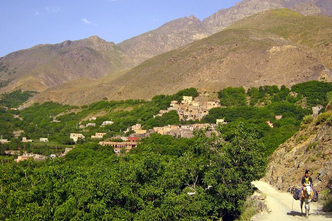 Agadir or Taghazout: Paradise Valley Atlas Mountain Swimming Trip - What Could Be a Dealbreaker for You