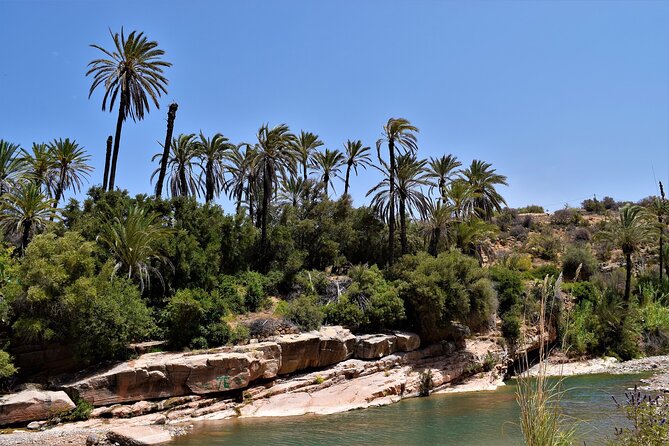 Agadir or Taghazout: Paradise Valley Atlas Mountain Swimming Trip - Paradise Valley: The Swim Pays Off, But Wear Real Footwear