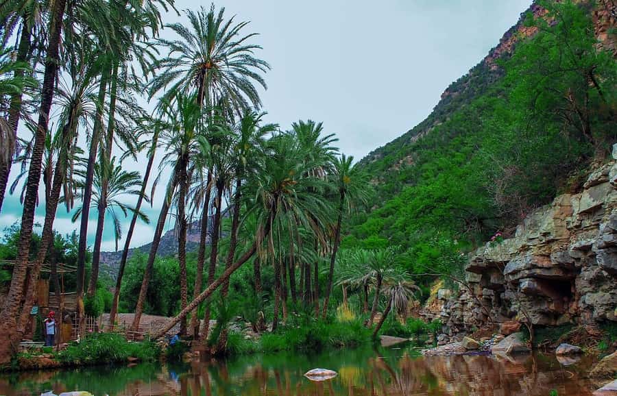 Agadir or Taghazout: Paradise Valley Atlas Mountain Trip - Agadir to Paradise Valley: why this day trip feels like a reset