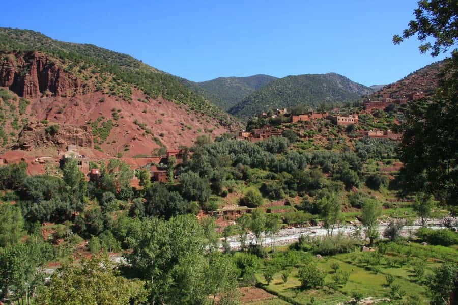 Agadir or Taghazout: Paradise Valley Atlas Mountain Trip - Panoramic viewpoints, Berber villages, and the argan + botanic garden stops