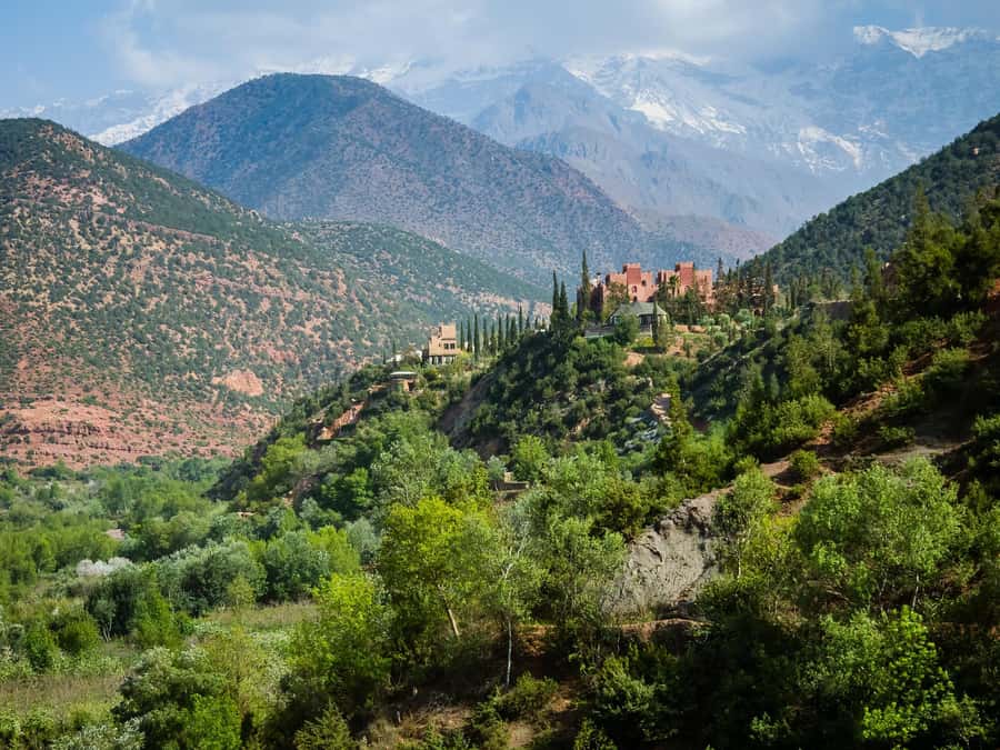 Agadir or Taghazout: Paradise Valley Atlas Mountain Trip - Value check: is $16 per person actually worth it?