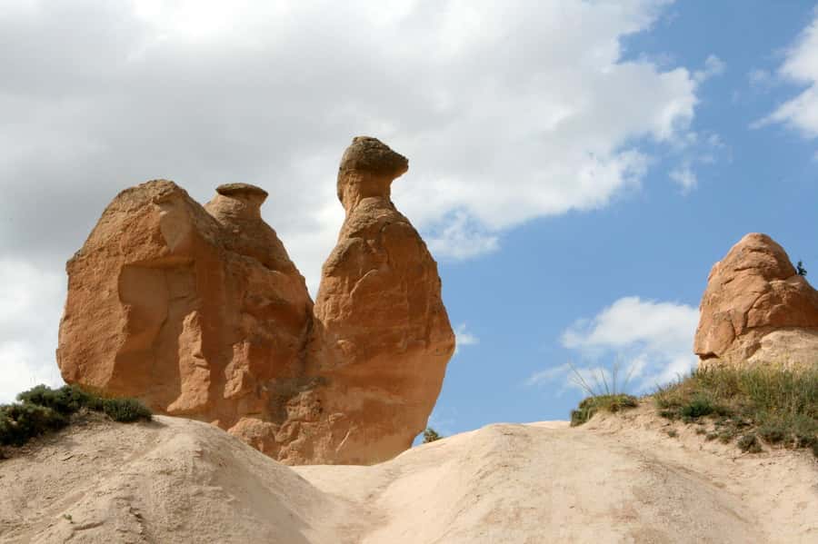 Agadir or Taghazout: Paradise Valley Atlas Mountains - Botanic Garden + women’s argan cooperative: more than a photo stop