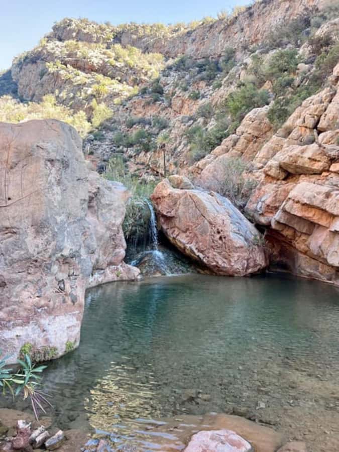 Agadir or Taghazout: Paradise Valley Atlas Mountains - What language you’ll get, and why it helps