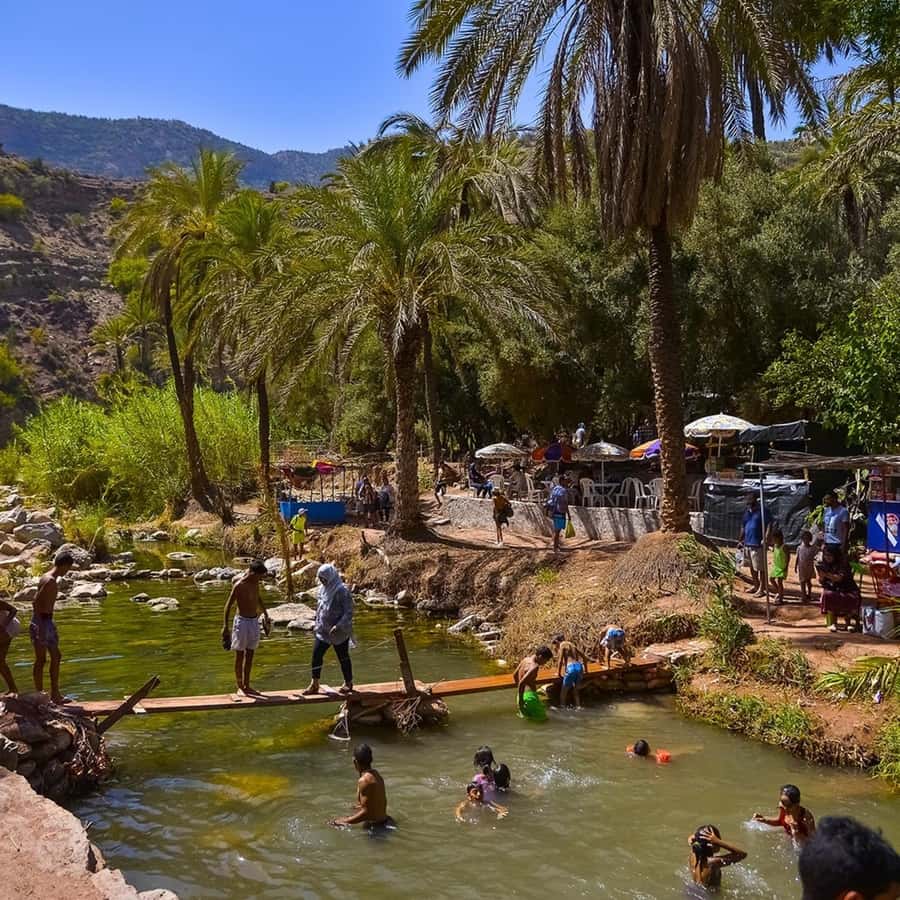 Agadir or Taghazout: Paradise Valley & Atlas Mountains Trip - Botanical garden-style stop and local product tasting (quick, not forced)
