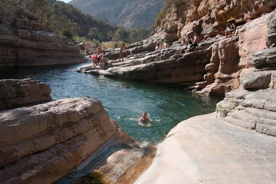 Agadir or Taghazout: Paradise Valley with Lunch & Transfers - The Honey Road of Immouzar: why the drive feels like part of the tour
