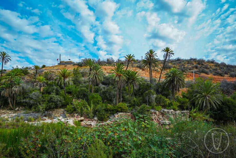 Agadir or Taghazout: Paradise Valley with Lunch & Transfers - Price and value: is $22 actually fair for this day?