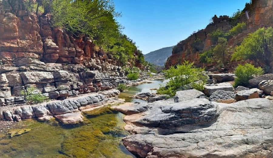 Agadir or Taghazout: Paradise Valley with Lunch & Transfers - Tips that will make your Paradise Valley day smoother