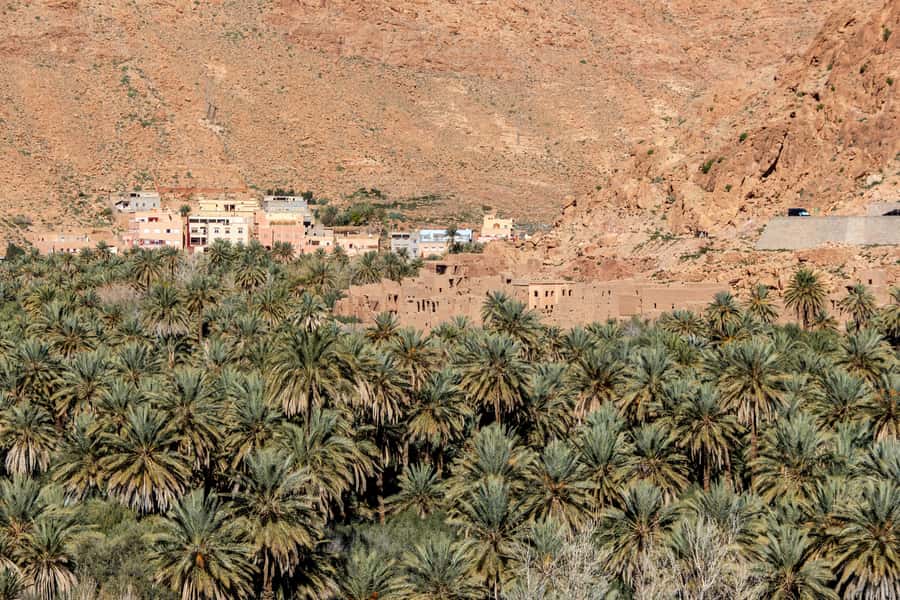 Agadir or Taghazout: Paradise Valley with Lunch & Transfers - Pickup Times: Agadir, Taghazout, Tamraght
