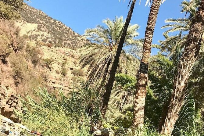 Agadir paradise valley and high atlas excursion - Why Paradise Valley and High Atlas Make a Great Half-Day