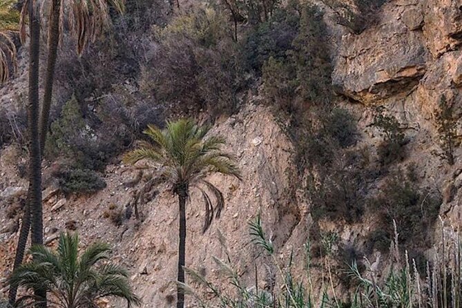 Agadir paradise valley and high atlas excursion - The Guide Factor: Why People Rate This So Highly