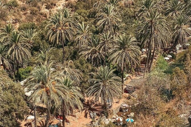 Agadir paradise valley and high atlas excursion - Pace and Comfort: How to Make the Most of 4 to 5 Hours