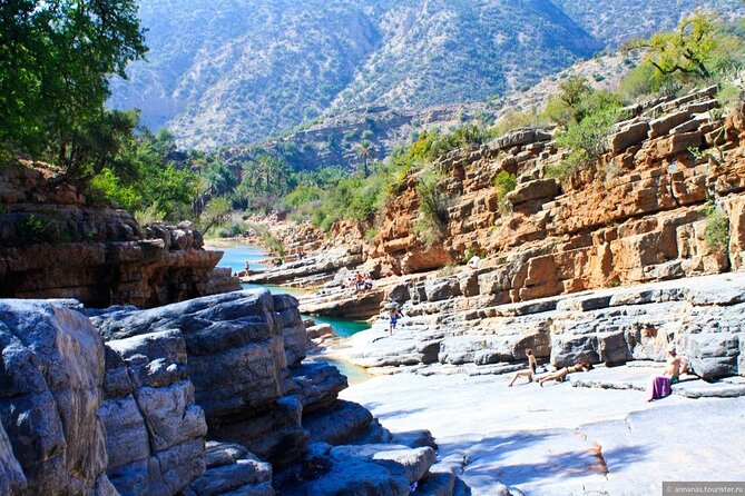 Agadir Paradise Valley & Atlas Mountains Adventure - Alma’s botanic garden: a short stop with a practical purpose