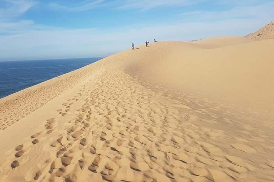 Agadir: Paradise Valley & Desert Sand Dunes with Camel Ride - Timlalin Sunset Camel Ride: Dunes, Atlantic Views, and Real Perspective
