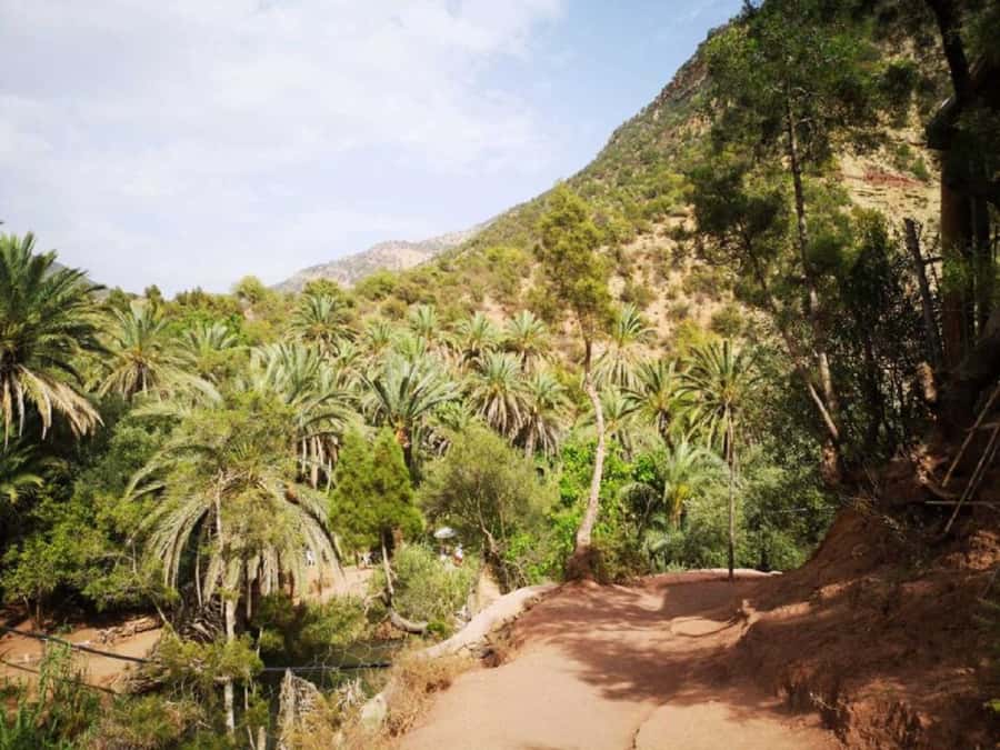 Agadir: Paradise Valley & Desert Sand Dunes with Camel Ride - Dunes Time by the Atlantic: Photos, Sandboarding, and Quad Bike Options