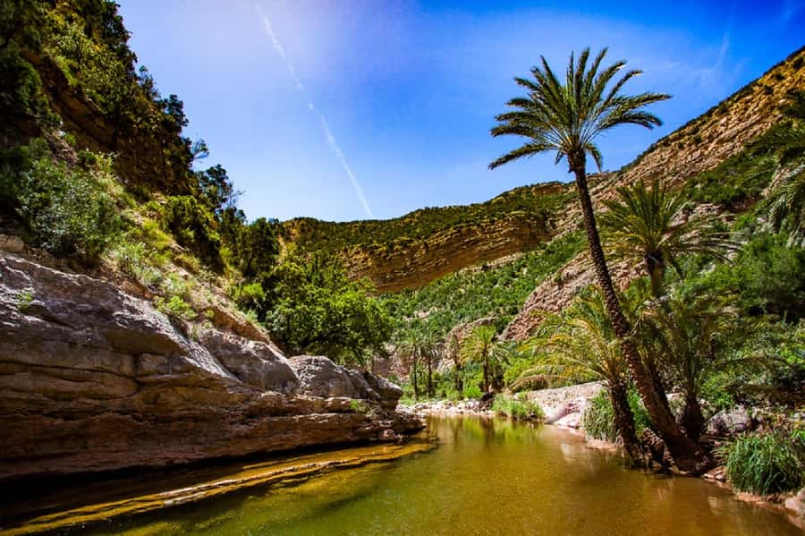 Agadir: Paradise Valley & Desert Sand Dunes with Camel Ride - Guides, Pacing, and Why This Costs $96