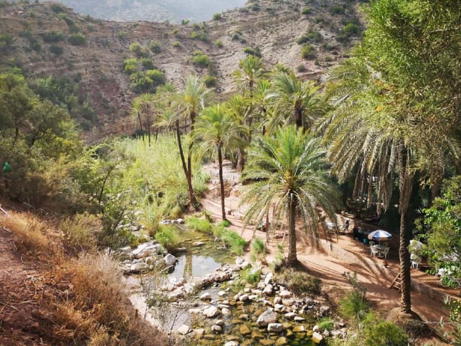Agadir: Paradise Valley & Desert Sand Dunes with Camel Ride - Alma Botanical Garden and Argan Oil: Local Craft in Plain Sight