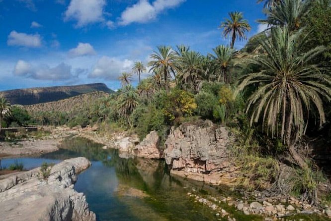 Agadir Paradise valley excursion & Breakfast - Paradise Valley: the 15–20 minute hike and your pool time