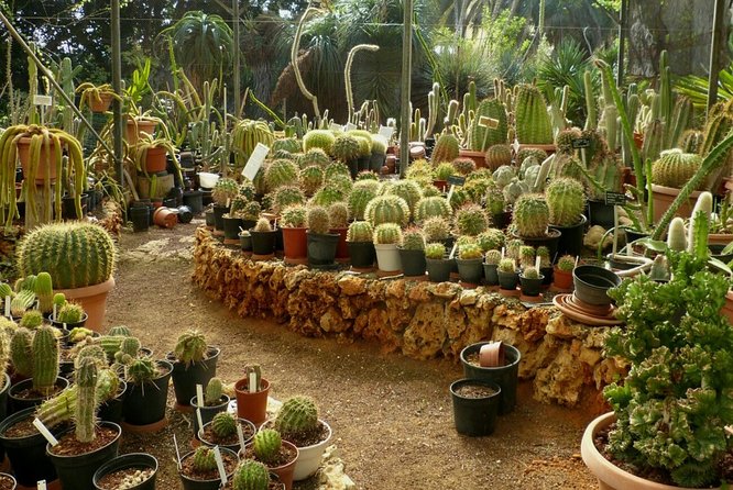 Agadir Paradise valley excursion & Breakfast - Who should book this Paradise Valley excursion (and who should think twice)