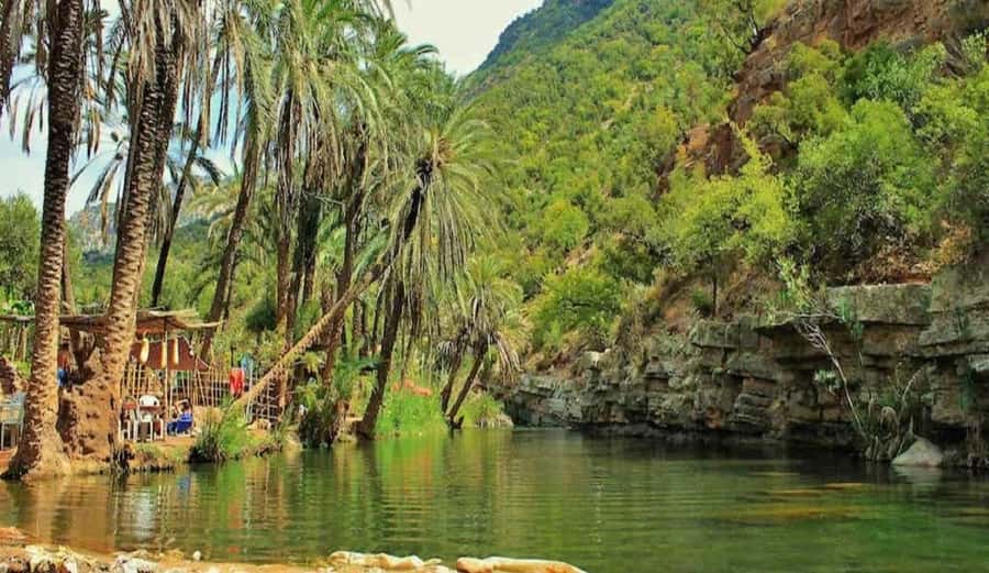 Agadir: Paradise valley Trip Afternoon Departure - Paradise Valley Arrival: What Happens When You Reach the Pools