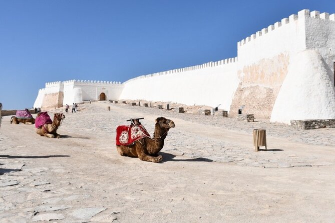 Agadir: Private Half-Day City Tour - Souk El Had d’Agadir: The Traditional Market Stop for Real Shopping Energy