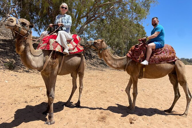 Agadir Quad ATV Adventure Tour with Berber Tea Experience - Price and Value: What $37.67 Gets You