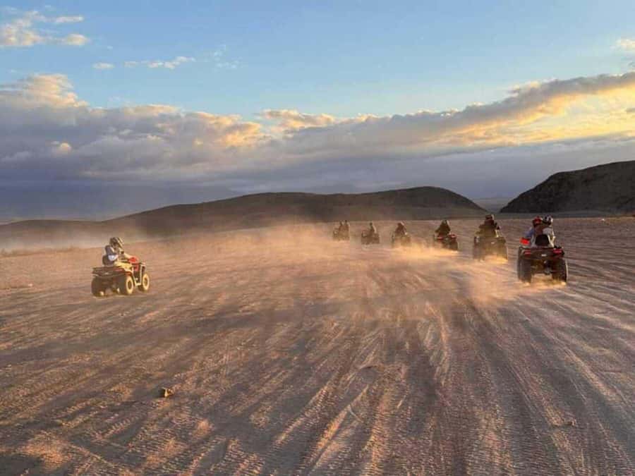 Agadir: Quad Bike Safari Desert With Moroccan Tea - Goats on trees near Agafay: why that photo stop is a thing