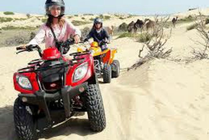 Agadir Quad Biking and Horse Riding with snacks - Price and Value: Is $89.05 a Good Deal?