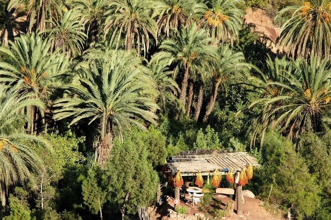 Agadir Quad Biking on the Beach & Sandboarding in the Desert - Price and value: why $30.38 can work (if you want action)