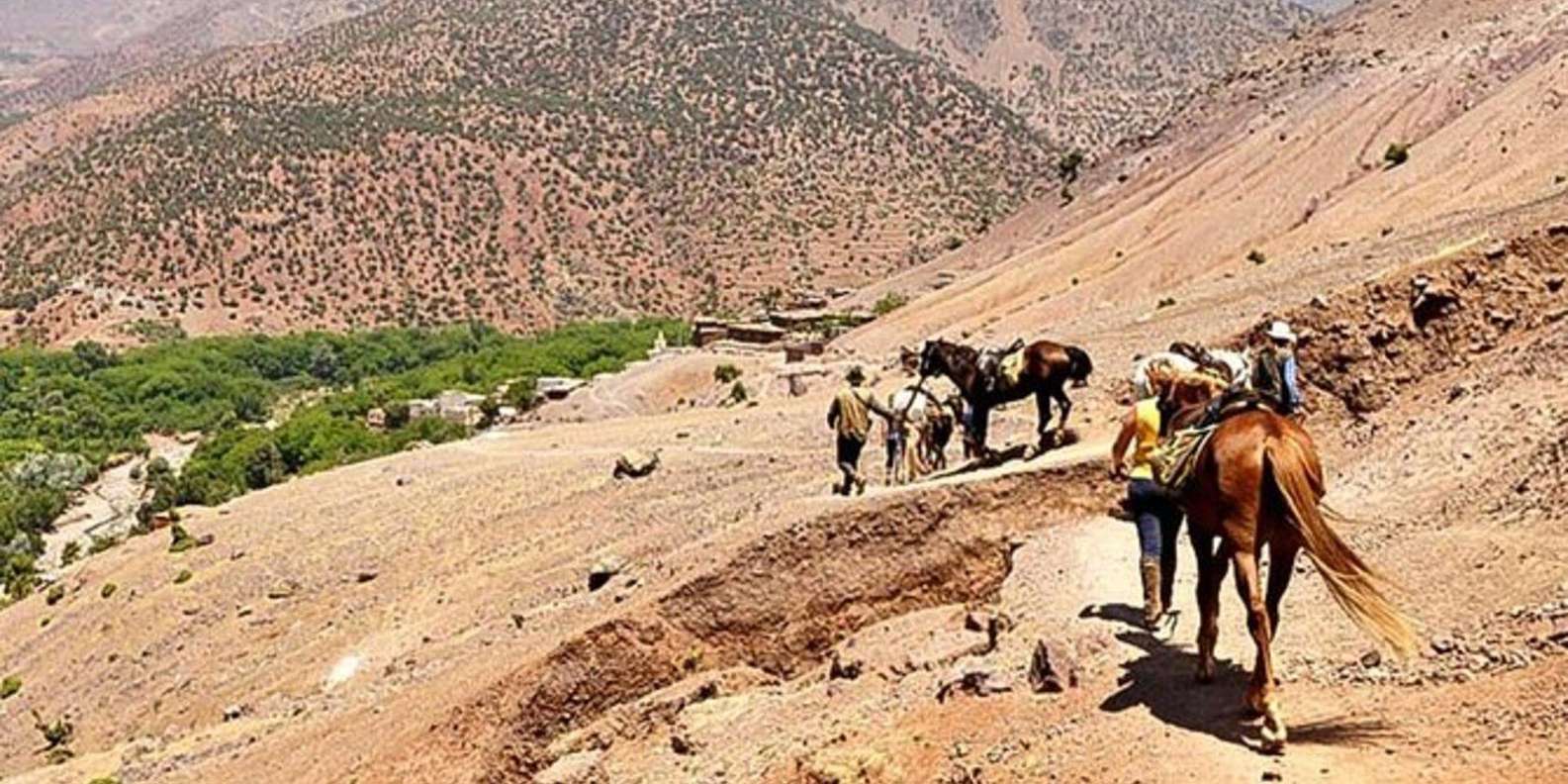 Agadir: Quad Safari with Crocoparc Optional - Price Value: Why $29 Can Still Feel Like a Real Deal