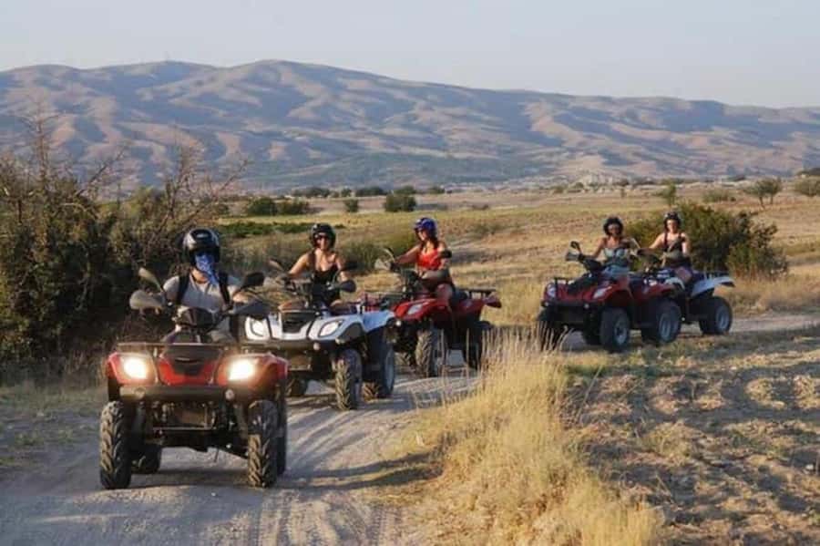 Agadir: Quad Safari with Crocoparc Optional - Argan Tree Goats: The Stop That Feels Like a Storybook Scene