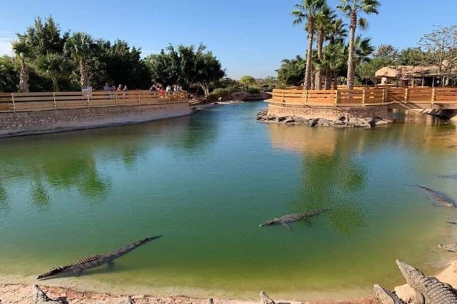 Agadir: Quad Safari with Crocoparc Optional - Crocoparc Optional: 300+ Nile Crocodiles and Extra Things to Pay For