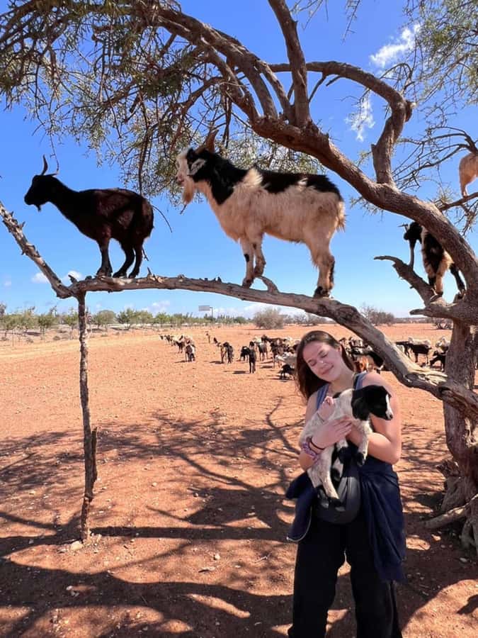 Agadir: Quad Safari with Crocoparc Optional - Timing and What a 270-Minute Day Really Feels Like